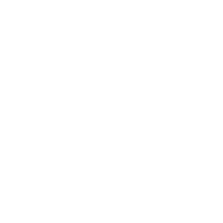 JelSert-1